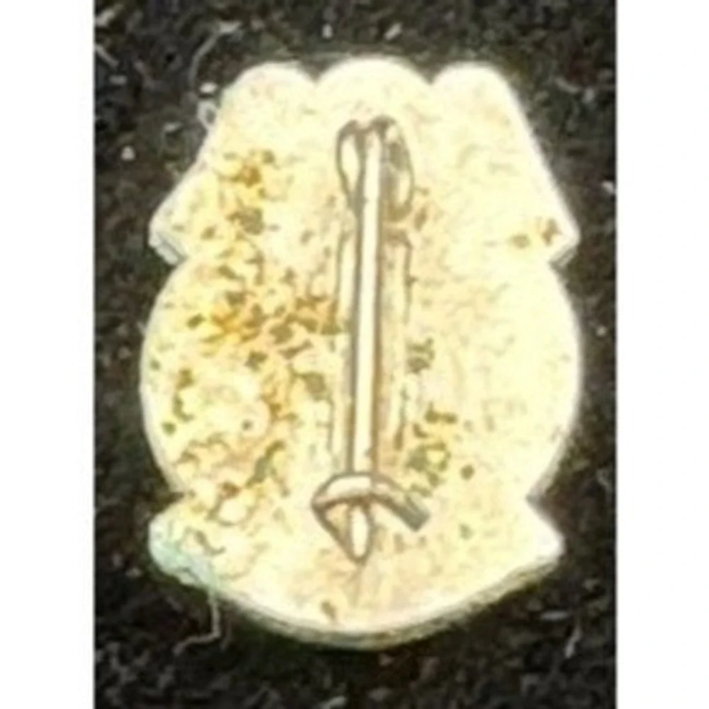 Vintage AAA School Safety Patrol Pin Badge